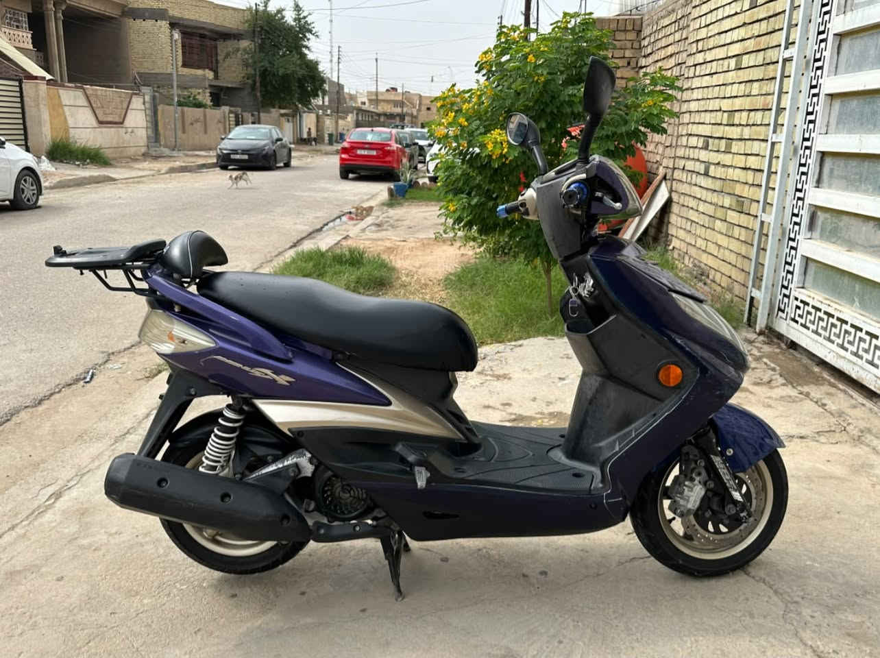 سكنس • خطين • محمودية بغداد
