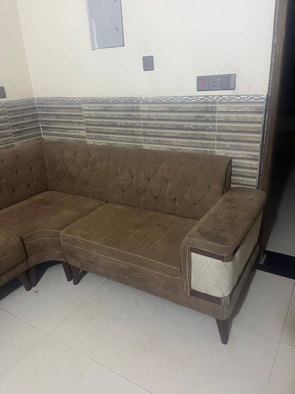 تخم تسكام للبيع السعر 800 وبي مجال /***********/***********
