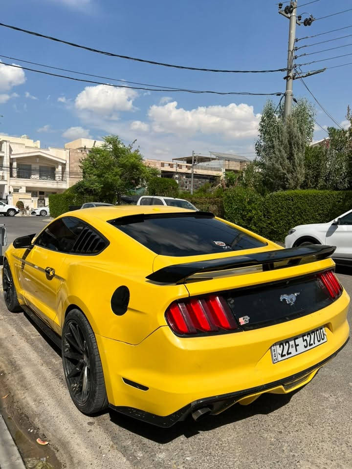للبيع موستنك ٢٠١٧ محرك ٤ سلندر تيربو
ماشي ١٥٠ الف كم 
سيارة سنوي و رقم جديد تحويل ثاني يوم
كتاب مضلل بي ٪؜٨٠ سنة
تخم تاير جديد فول فول مواصفات فول 
بيهة نص بنيت و جاملغ سكن صبغ بدون داخل 
مكان سيارة اربيل 
***********

نص مكتوب في الصور:
- price is $5514 Free bid history copart and iaai » Ford » Mustang » Ford Mustang 2017 Yellow 2.3L 4 vin: 1FA6P8TH9H5312747 Ford Mustang 2017 Yellow 2.3L 4 vin: 1FA6P8TH9H5312747 BidFax.info Final bid: $12500 Auction: Copart SOLD Lot number: 51990358 Date of sale: 11.01.2019 Year: 2017 VIN: 1FA6P8TH9H5312747 خاص - ax.info
- 3G 2:22 price is $5514 Free bid history copart and iaai » Ford » Mustang » Ford Mustang 2017 Yellow 2.3L 4 vin: 1FA6P8TH9H5312747 Ford Mustang 2017 Yellow 2.3L 4 vin: 1FA6P8TH9H5312747 Final bid: $12500 Auction: Copart SOLD Lot number: 51990358 Date of sale: 11.01.2019 Year: 2017 VIN: 1FA6P8TH9H5312747 خاص - ax.info