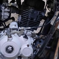 بوكسر • فحل • ٢٠٢٣