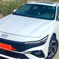 النترا • ٢٠٢٤ • ماشية ٦١٠٠٠