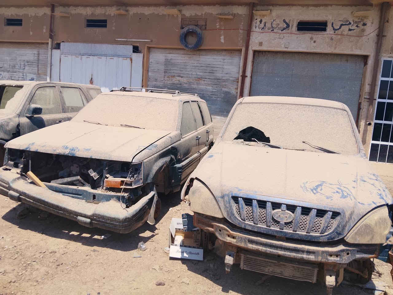 مال مزاد كلمن وسعرهه ***********
