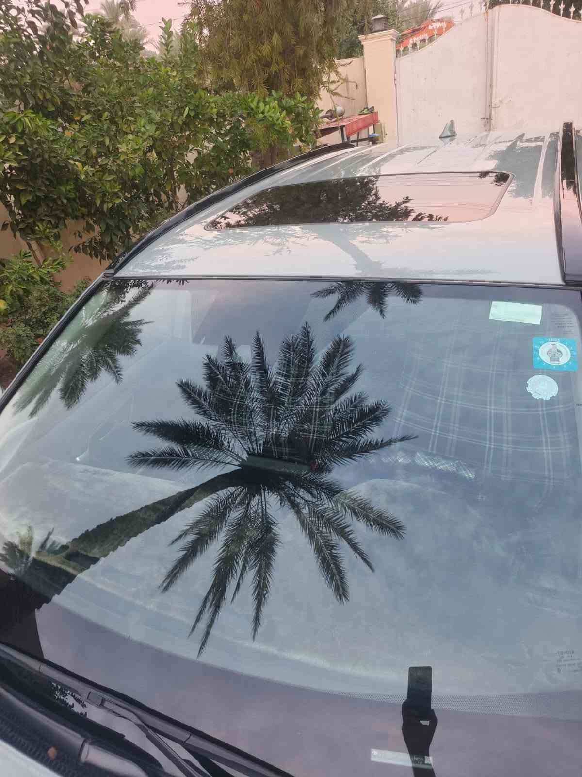 راف فور هايبرد • ٢٠٢٣ • بدون صبغ