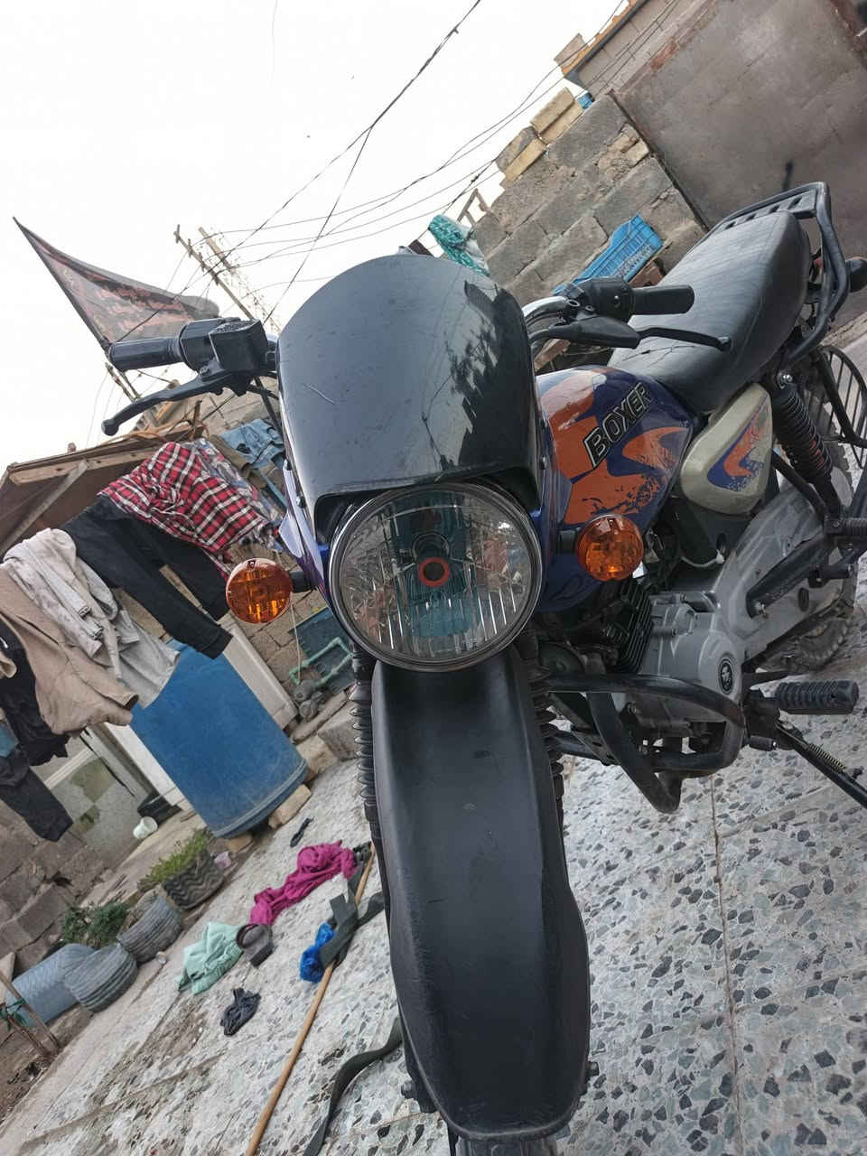 بوكسر • جبلي • ٢٠٢١