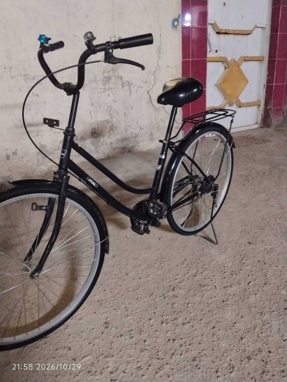 ٢٦ • ٢٠٢٢ • كافيديا