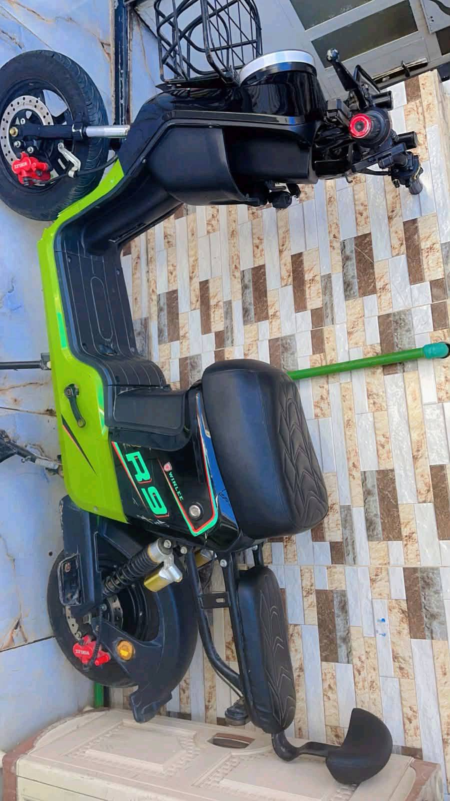 مراوس فقط