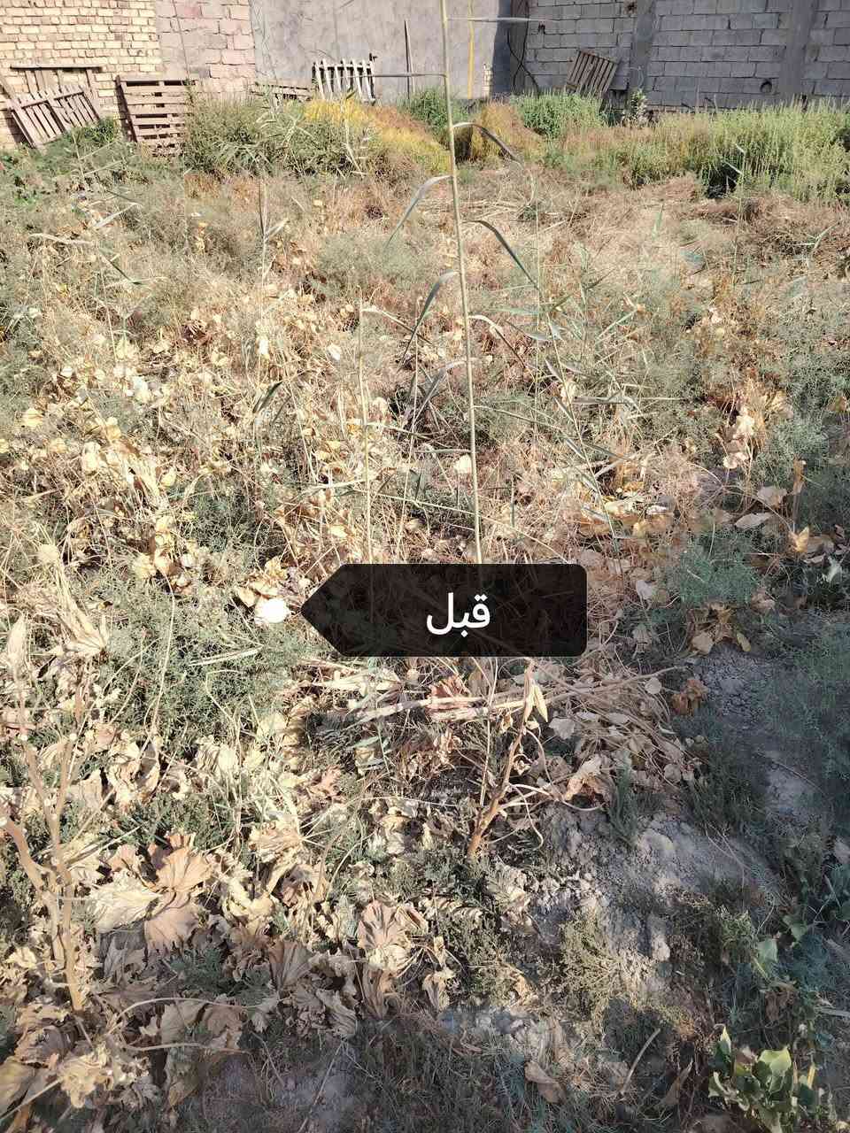 الحمد لله 
جزء من عملنا لهذا اليوم 
اتمنى ان ينال اعجابكـم 
🧿🧿🧿

#الرميثه *********** واتساب

نص مكتوب في الصور:
- قبل
- بعد
- O HONOR X9b
- 108MP Ultra-Sensing Camera
- ١٠:٤١ ٠٣/١٠/٢٠٢٦
- HONOR X9b
- ١٥:٤٢ ٠٣/١٠/٢٠٢٦
- ١٢:١٩ ٠٣/١٠/٢٠٢٦