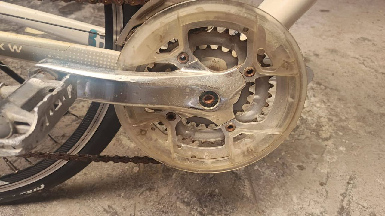 ليف رياضي • ٢٧٫٥ • نضافة ٩٥٪