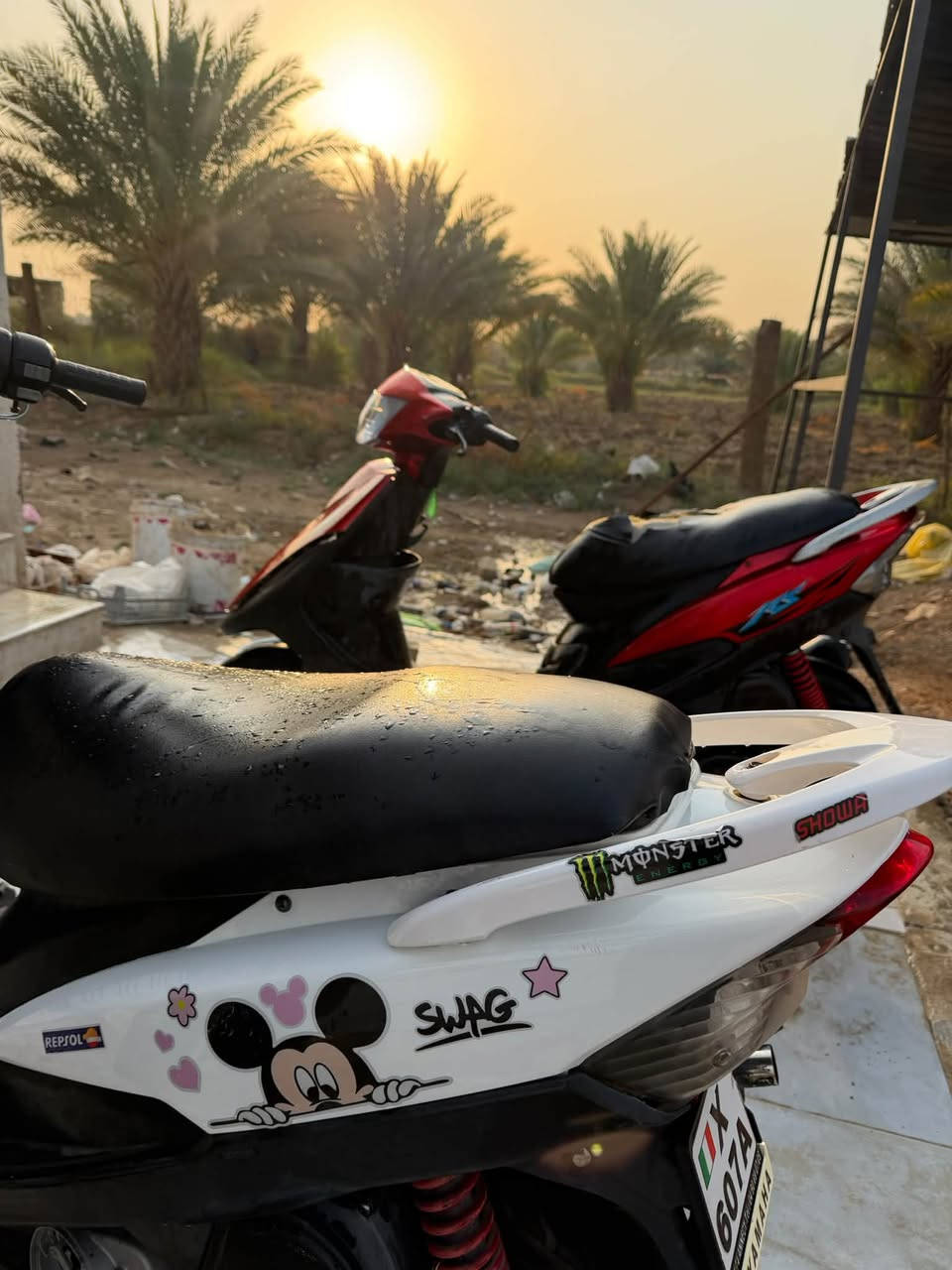 ماكس • نضيف • بوشته