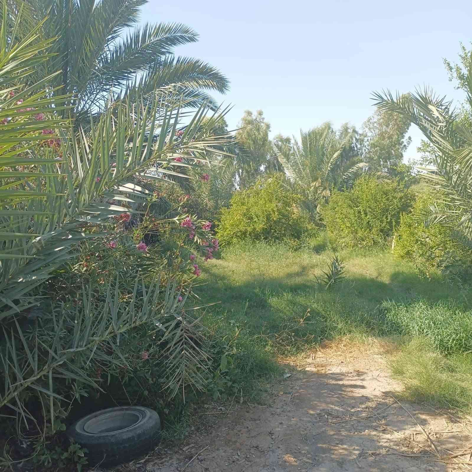 من رخصه الادمن
سلام عليكم ورحمة الله وبركاته دار للبيع مساحته دونم ونص السعر ١٣٥ وبي مجال الموقع بغداد ابو غريب الاستفسار ***********
