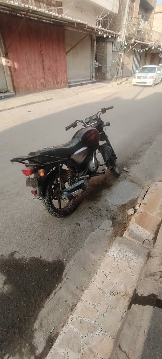 بوكسر جبلي • اوراق اصولي • عوجه
