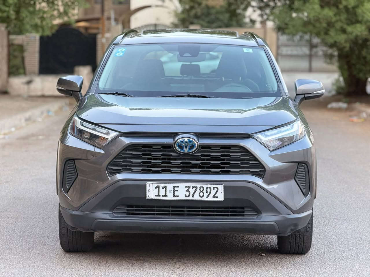 راف فور XLE • ٢٠٢٢ • مصدوم خلفي