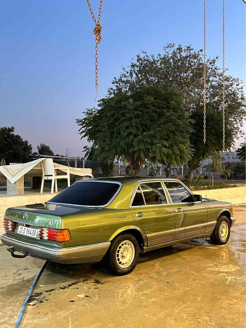 مرسيدس • ١٩٨٣ • زيتونة