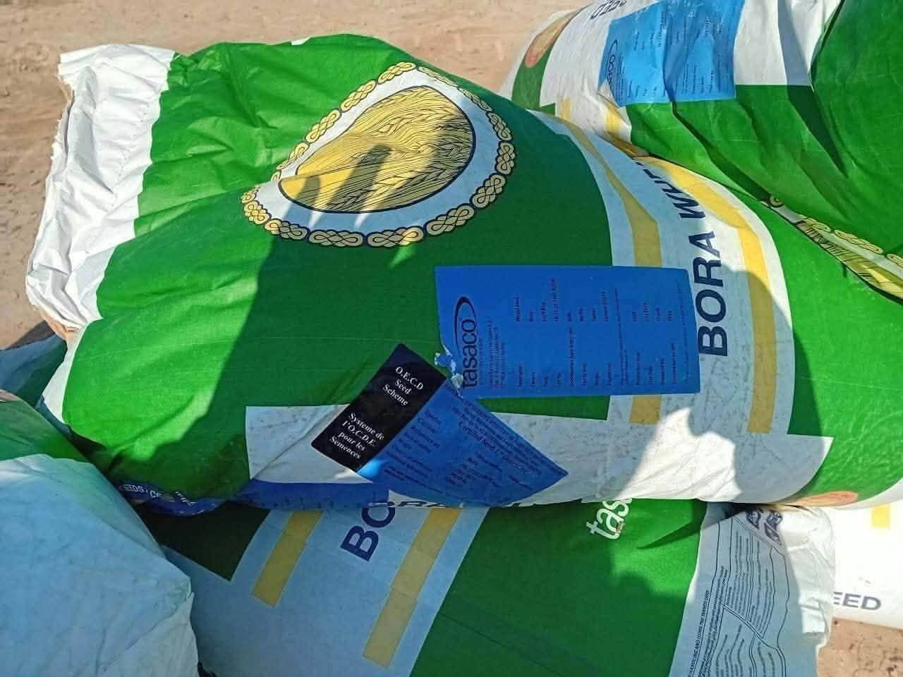 حنطه بورو • بنت المغلف • الجيل الاول