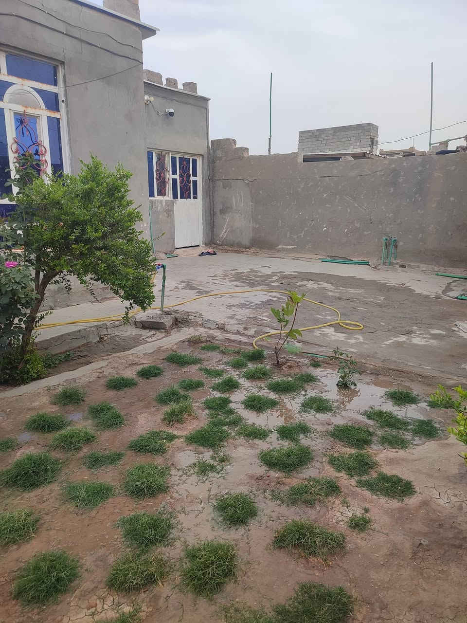 سلام عليكم عندي بيت للبيع بحي الشرطة الشارع الاول مساحه 260 ويرهم مراوس تصال على الرقم ***********
