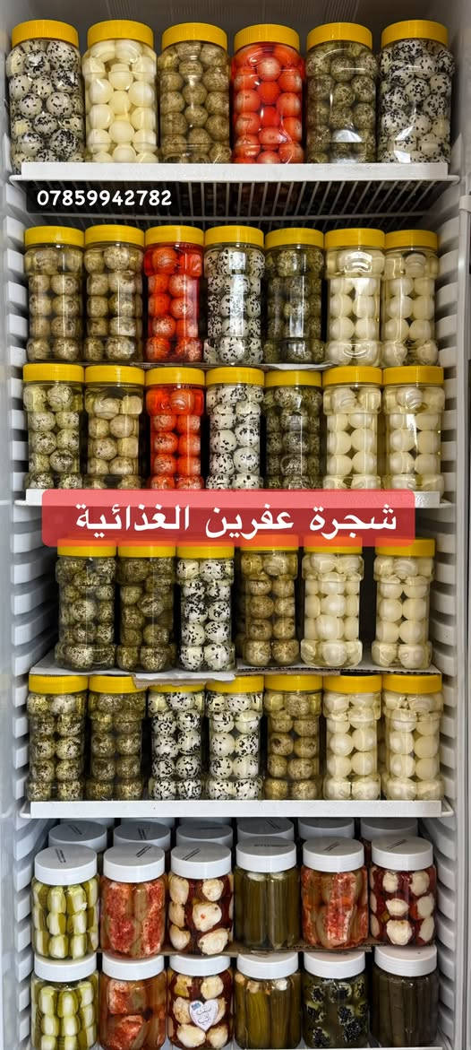 شجرة عفرين • مونة سورية • بيع جملة
