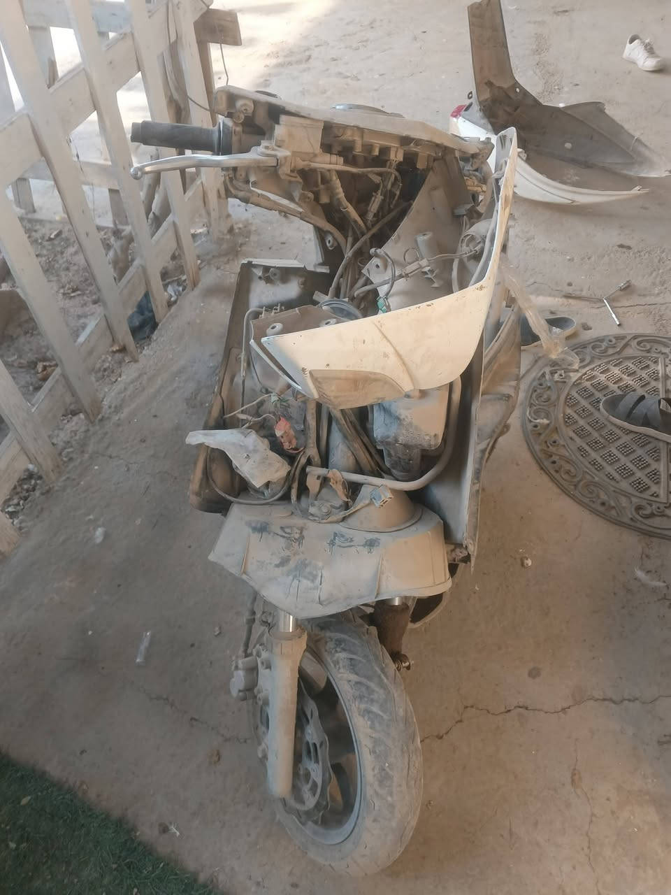 سكنس فحل • ياباني • تصفيخ