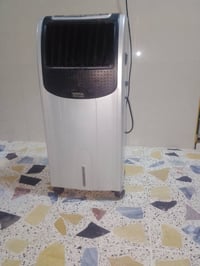 مبرات • كونفير صغير • صوبة شغالة
