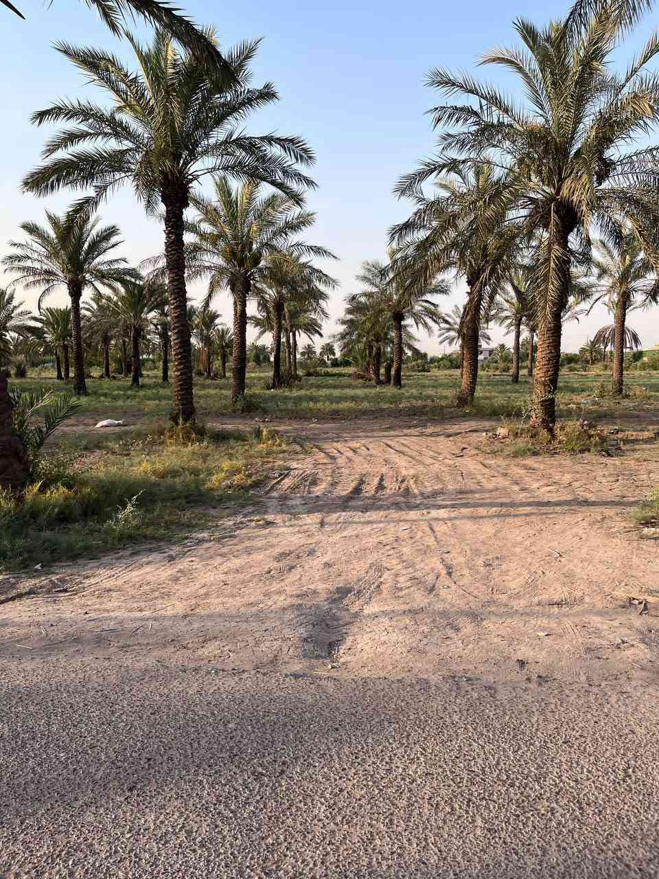قطعة أرض ٦٠٠ متر الواجهة ١٨ السعر ٩٥
قطعة أرض ٣٠٠ متر الواجهة ٩ السعر ٤٥
البوعيثة قرب بانزيخانة العهد ***********

نص مكتوب في الصور:
- طريق مبلط بعرض 3 متر