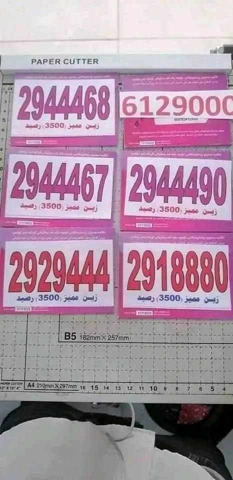 يتوفر+لدينا+خطوط+كلك+أسيا+وزين+وكورك+
للتفعيل+حسابات+فقط
واتساب++تلي+گرام+تيك+توك++فيس+بوك+انستا+ڤايبر
وكافة+البرامج+الاخرى+
مقابل+التفعيل+رصيد+بقيمة+10$+
الطلب+التفعيل+مراسله+الصفحة+أو+مراسلة+وأتساب+
***********
سعر+الخط+35+آلف
سعر+توصيل+10+آلاف
يتوفر+توصيل
+للمحافظات
عدا+أربيل+كركوك+مجاني+🆓
يتوفر+عرض+الي+يكون+طلبه+خطين+يحصل+على+خط+ثالث+هدية أربيل, العراق
