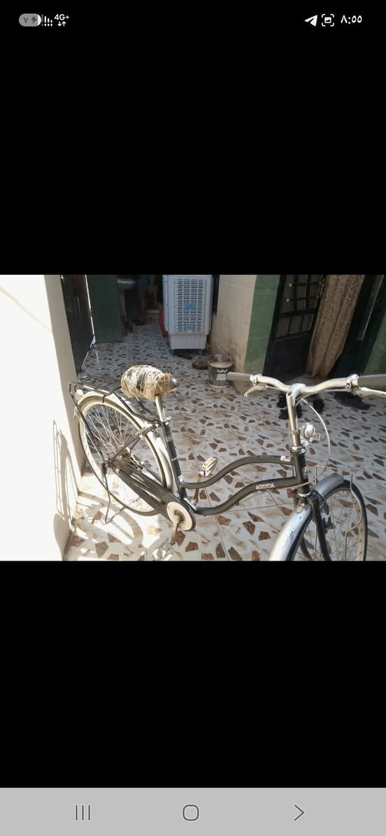 سلام عليكم عندي باسكل لون اسود اي خياس ما بي نضيف جديد سعر 89 رقم ***********

