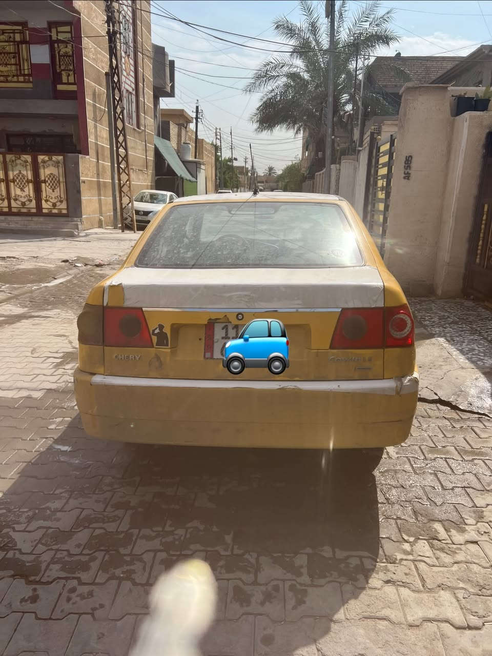 شيري مويل • ٢٠١١ • بغداد شهداء