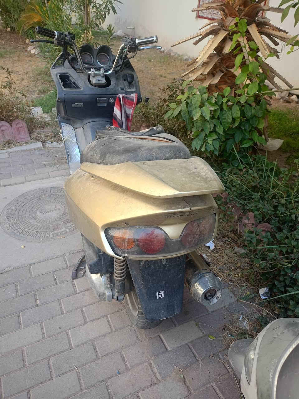 فورزه 06للبيع سلف عاطل متروكه شغاله السعر 200وبيه مجال بسيط المكان مجمع بسمايه اتصال ***********
