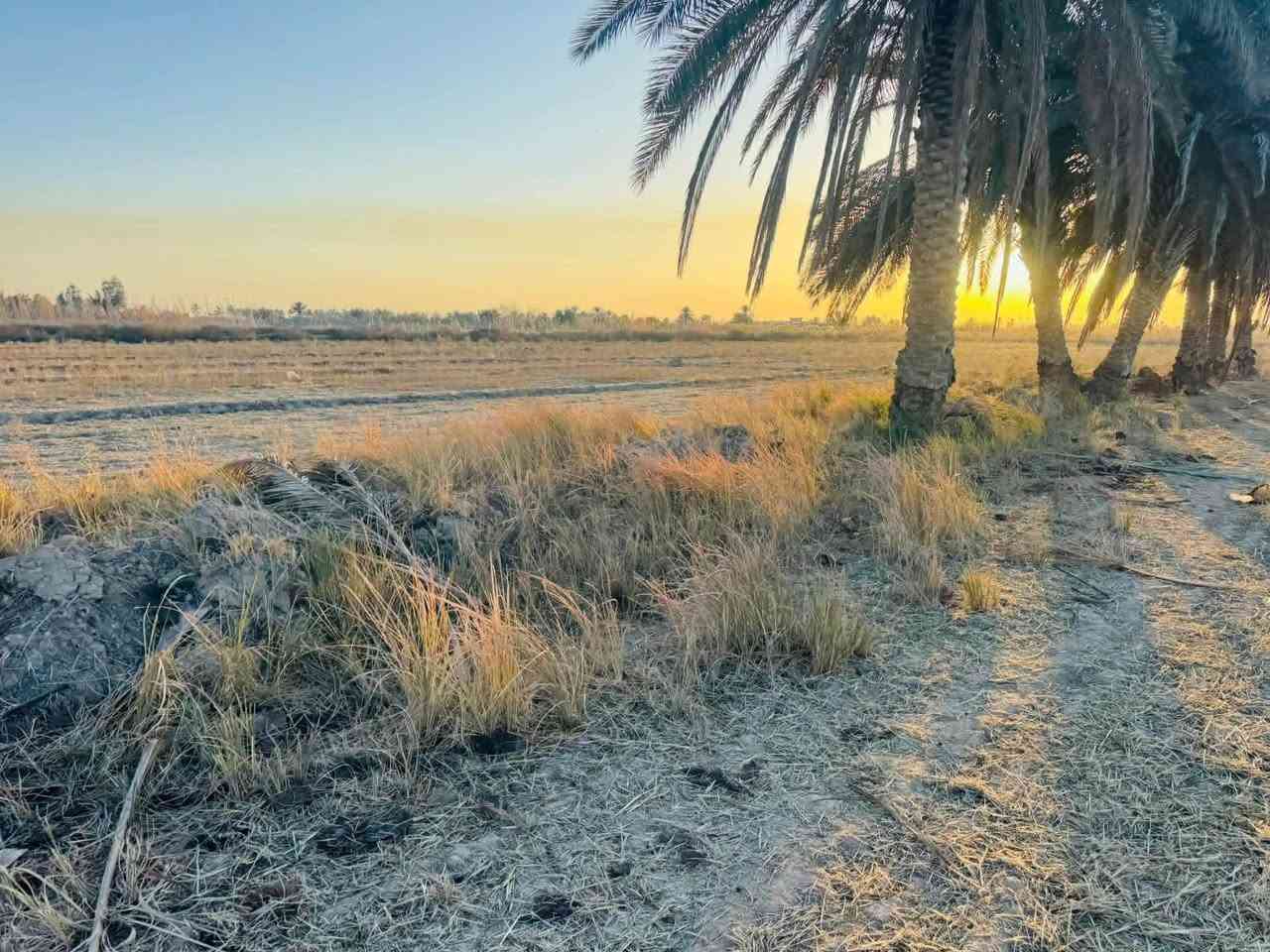 عروض اليوم بلاش
سلام عليكم ارض طابو سند 25 للبيع المساحه30  دونم سند مستقل بأسم شخص  يباع جزء منهه  الارض مكانه حلوه يوجد فيه كهرباء+ماء وكافّة الخدمات تصلح مجمع سكني او شاليات العنوان طريق كربله نجف طريق مفرك الكفل عمود 350 ام نعجه 
استفسار.   ‭***********
