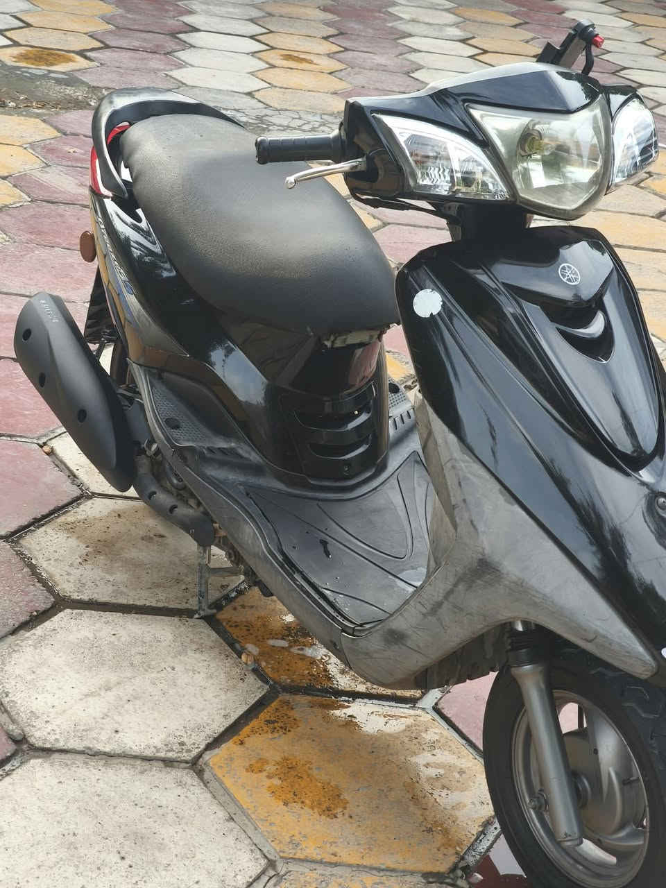 بغبغاء نوزل • جديده • استعمال شهر
