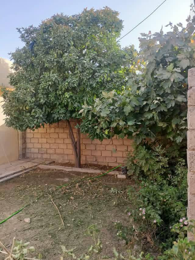 تقليم اشجار حسب طلب ورغبت الزبون💚🌴🌳
اتصل***********

