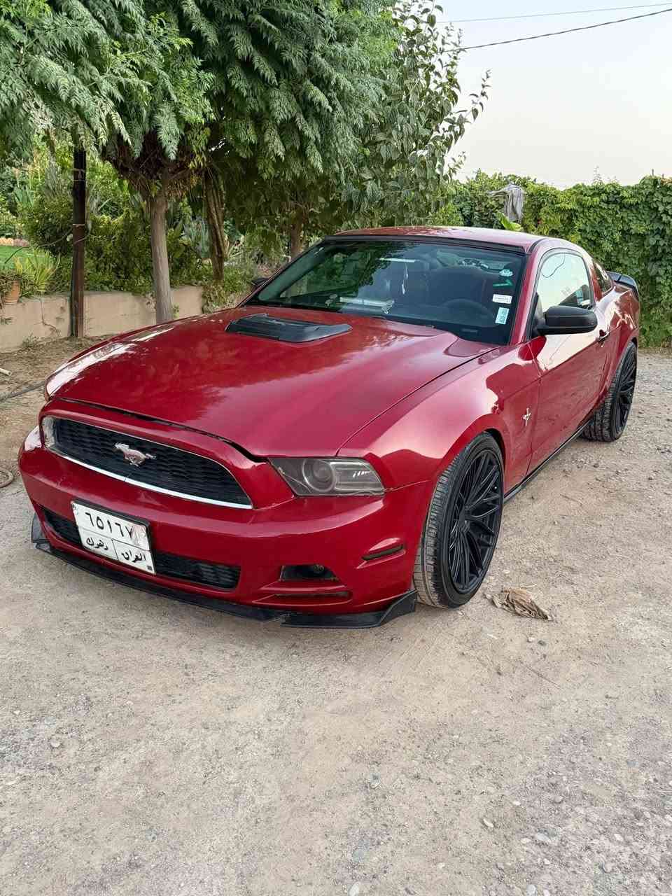 موستانك موديل 2010 بشتو بيشي كراوه ته 2014 سياري زور خاوينو جوانو بي كيشه يه گيرو مه كينه ي به شه رته 11 وه ره قه غرامه ي له سه ره ساحيبي له ده ره وه يه وه كاله ي له كه له ده تاني وه كاله ي ته سديق بكه يه وه به ناويش بكه ي به لام من به اوليات ده فروشم سعري 70 وه ره قه و مه جاليكي كه مي تيدايه گورينه وه ش ده كم به دوج ئوباما رانج موديل 2011 هه تا 2014 رانجه كه ش مودين 2005 تا 2008 كيشه م نيه  گه ر موشته ري ني سه رمان مه هيشينه *********** واتساب أربيل, العراق
