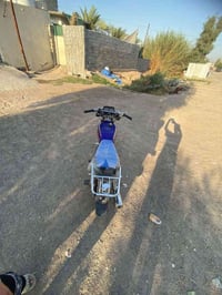 تايكر • بدون أوراق • كهربائيات ناقصه