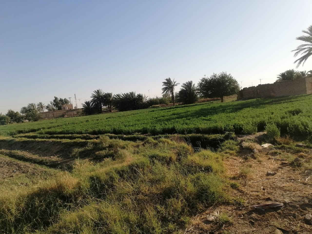 للبيع : أرض زراعيه خلف السده مباشره (مدينة الرمادي).
     طابو زراعي سند (25) تحويل مباشر ضمان حقوق
      المشتري..موقع جيد جدا وجميع الخدمات متوفره 
       رمادي البوعيثه قرب مزرعة الزعيم.
      المساحه / 2 ونص دونمين ونص/ ماء وكهرباء 
     للاستفسار مع مكتب أبو وسام للعقارات
    للجاد بالشراء الإتصال على الرقم/ ***********
     مكتبنا رمادي شارع٤٠ مقابل جامع الواثق
