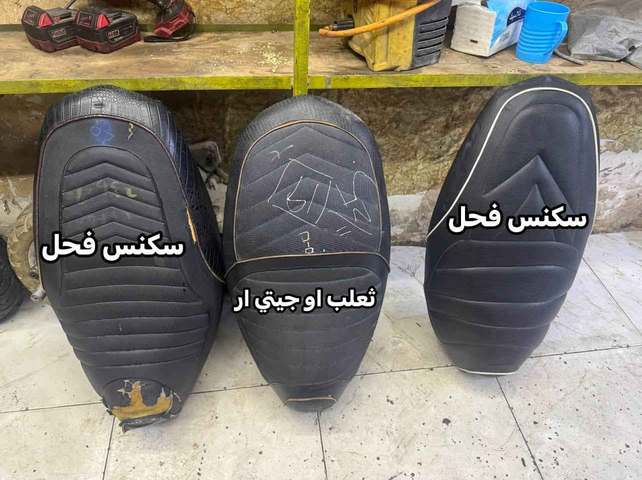 سلام عليكم كشنات للبيع كلمن وسعره سكنس فحل وثعلب او جيتي ار مكاني بغداد الدوره***********

نص مكتوب في الصور:
- ثعلب او جي تي ار
- سكنس فحل
- سكنس فحل ثعلب او جيتي ار سكنس فحل