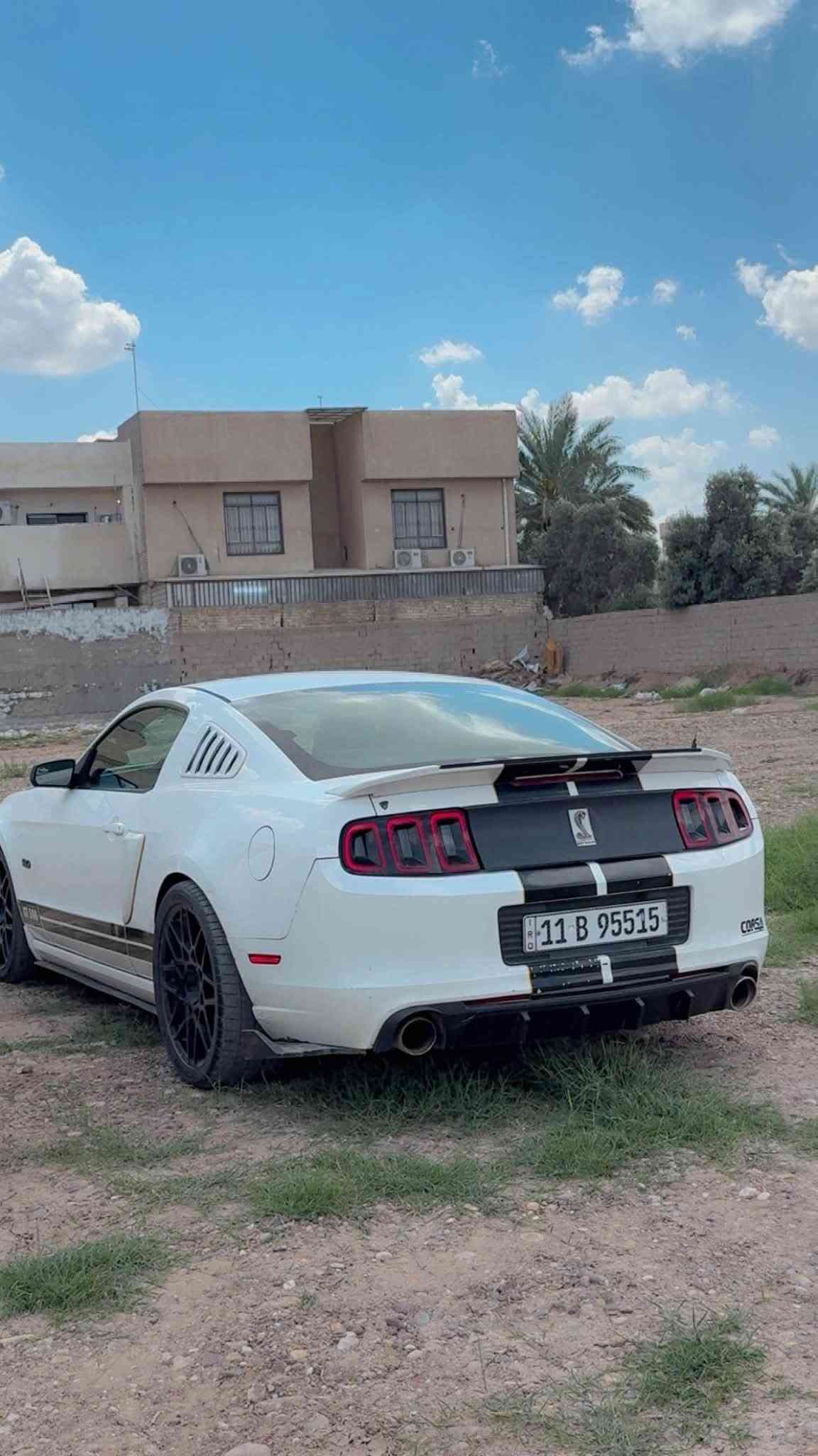 من رخصة الادمن السلام عليكم  ليدور جديد
موستنك 2013 فول  بريميوم  ((داخله كلين تايتل)) بالعراق بيها شبر البنيد واربع اصابع من الجاملغ وبارد خفيف عليها اضافات كومه من ضمنها وياله شلبي اصلي مختم وعليها عدا التخم لبلادي زوج تايرات مشلن عرض 305 وعليها شباك روش وعندي مال شلبي ايضاً ولحية ار تي ار وعدادات ثانويه وعليها مازدات اوركال وعليها اكزوز كورسا من الطول للطول وعليها تزويد وحماية للمكينه ذراع مانلي  وبوابات للاكزوز علريمونت وبيها بصمتين وحده بلاديه والثانيه مال الشكل الجديد وعليها سويج مفتوح وسويج امان محدود السرعة عبوة فيول بم جان بيها تجاري شغاله بس بدلتها ببلادي صدر 80‎%‎جديد مبدله على ايدي السيارة مو مهجومه ومو حزام تعتبر لحد الان كلين وصبغها جداً قليل مقارنه بخواتها واقسم بالله صارف عليها دم كلبي والغراض والتعديلات فدوه ذني مال ونستي بيها رايدها 122 بيها مجال بشرط اتحده اي واحد يجيبلي بهل نظافه والسعر 
مكاني الدورة المهدية او السيدية *********** بي واتساب
