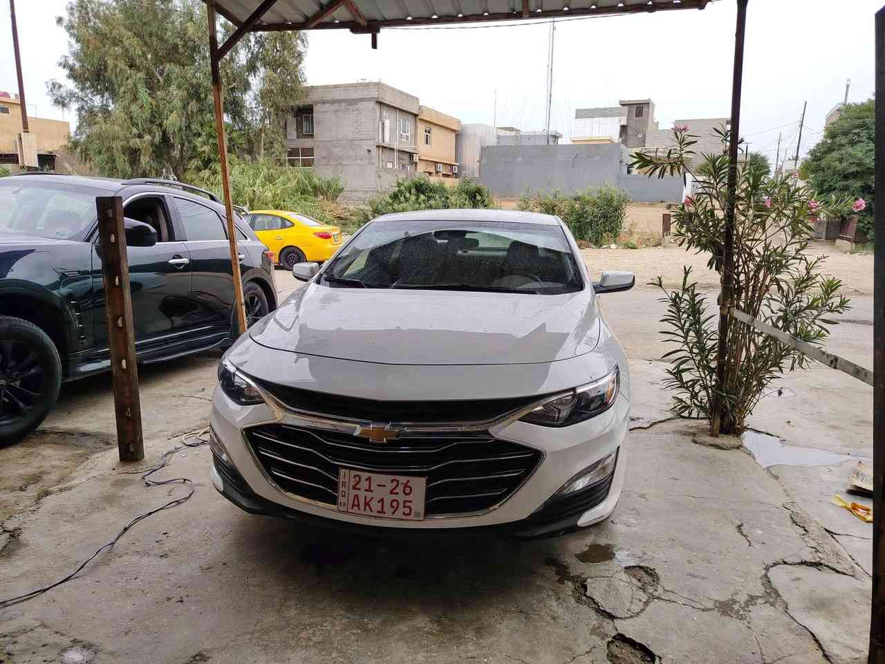امريكي • ٢٠٢٤ • بدون حادث