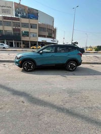 سلتوز 2025 • دخول جديد • فول