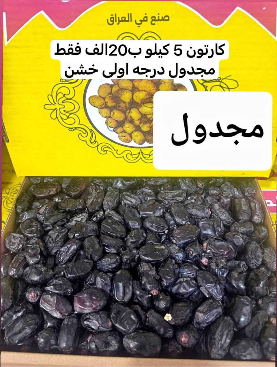 مجدول • عجوة • كارتون ٥ كيلو