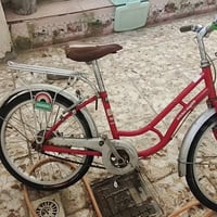 باسكل • حجم ٢٠ • ياباني