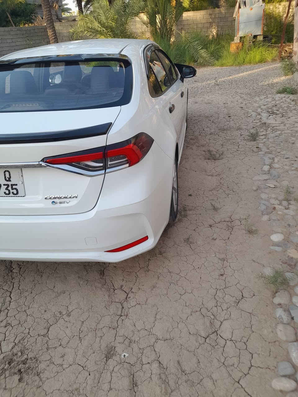 سلام عليكم كورله موديل ٢٤هايبردوضع شركه كل نقص مابيهه سعرهه ١٤٥وبيهه مجال قليل مكاني ديالى ستلام شركه بعدهه مطلوبه بس اسويلك وكاله مطلقه ***********
