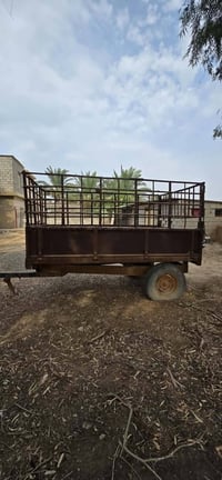 عربانه • فيه مجال • ديالى كنعان