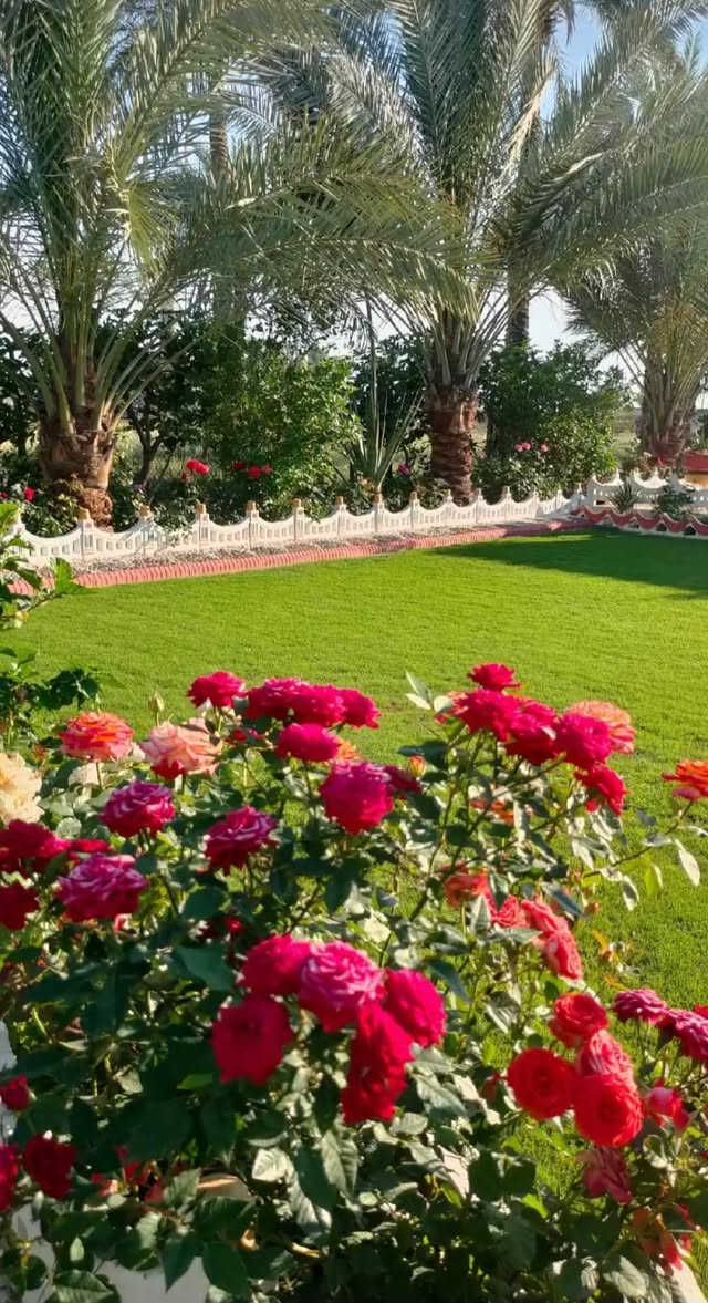 السلام عليكم يتوفر للديكور حدائق وأسعار مناسبة استفسار مراسل الصفحة او الاتصال على الرقم *********** فقط صار القطعه ٢٢٥٠
