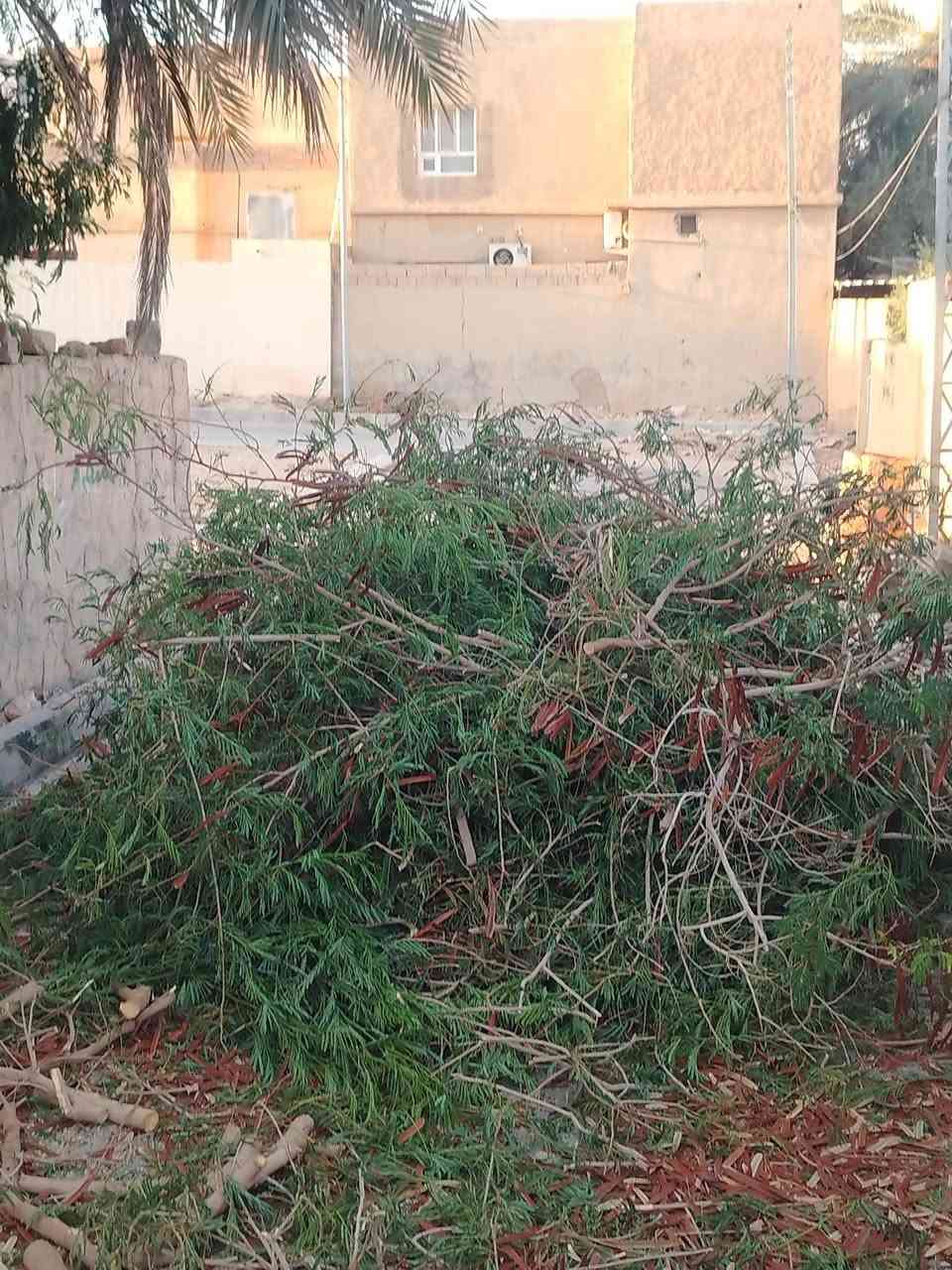 حطب ناعم بلاش ليريد يجي بحي الجمعيه
***********
