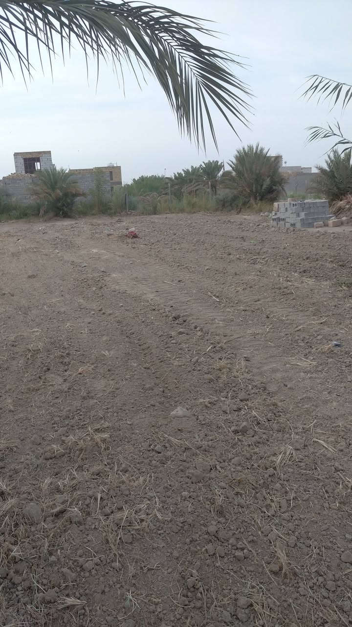 نص دونم • ماء وكهرباء • الديوانية
