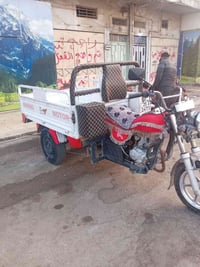 ستوته فحل • ابيض • مرقم
