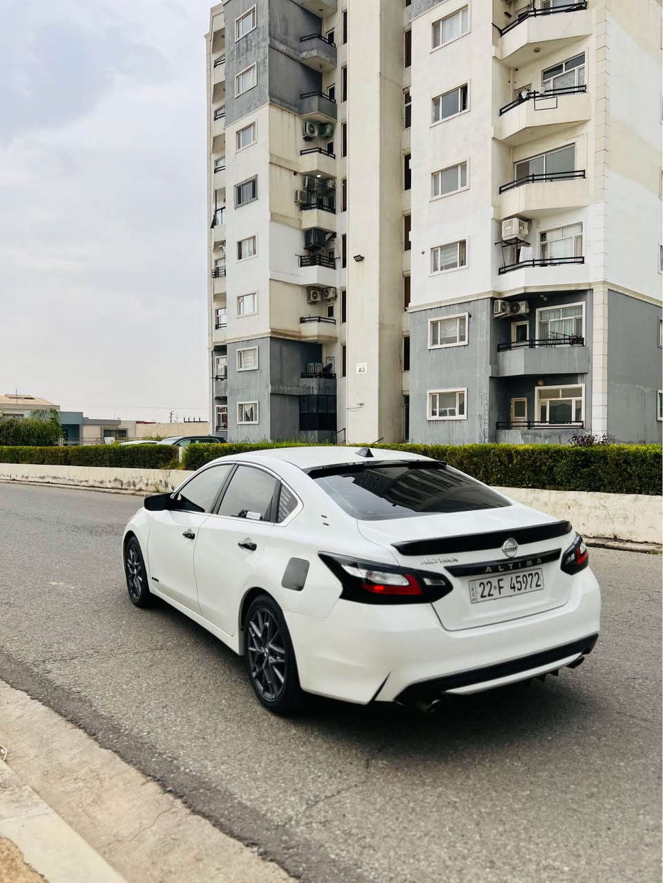 التيما • ٢٠١٦ • أربيل
