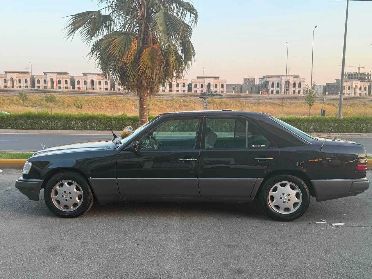 السلام عليكم
للبيع مارسدس دب موديل 93

رقم اربيل بسمي 

مكينه وكير بطه 3000

حداديه خلفي امامي جديد تخم تاير 

مكفوله من ضربه مصبوغه عام لي جماليه 

كهربا ئيات كله شغال داخل كله بلادي 

مكان سيارة بغداد راشدية 

رقم الهاتف ***********

السعر 72 $
