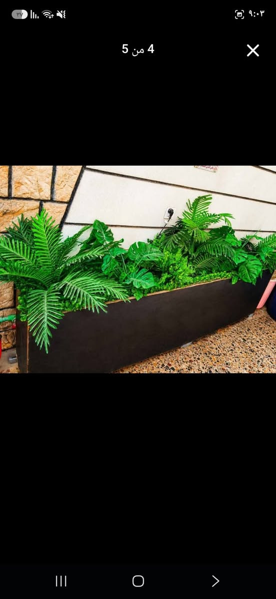 🌿 للبيع حوض زراعي ديكوري مميز جداً 🌿
حوض طويل مستطيل بتنسيق نباتات صناعية خضراء، شكله راقي ويعطي المكان فخامة وحيوية ✨
✅ مناسب للبيوت والمداخل
✅ مناسب للمطاعم والكافيهات والمحلات
✅ نباتات صناعية ما تحتاج سقي أو عناية
✅ تصميم مرتب وجاهز للعرض
✅ حجمه كبير ومناسب للديكور.....السعر الكبيره ١٥٠...والاصغيرة العدد ٣ الوحده ٥٠ وبيهه مجال ..العنوان  بغداد بلديات  الاتصال ع الخاص  ع الوتساب ***********......

نص مكتوب في الصور:
- ٢ من ٥
- 4 من 5
- 1 من 5