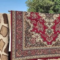 :::::::::::عندج زوالي وصخه🫣 وحايره بيهم الحل يمي: ::::::: عندج بطانيات...