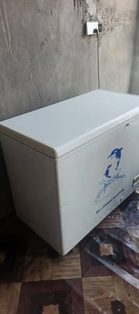 مجمدة